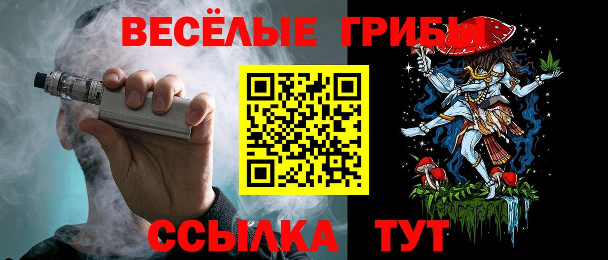 Петровск  Галлюциногенные грибы Psilocybe  Вход с VPN  Псилоцибиновые грибы Psilocybine cubensis 